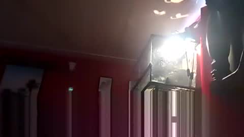 Snapshot of playboy5543 chatting on December 2024 06:34:02 PM SEX ADDICTION WANNA MEET online show from December 2024 06:34:02 PM