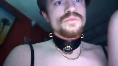 Snapshot of playboy5543 chatting on December 2024 11:33:02 AM SEX ADDICTION WANNA MEET online show from December 2024 11:33:02 AM