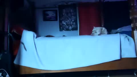 Snapshot of playboy5543 chatting on January 2025 06:10:01 AM SEX ADDICTION WANNA MEET online show from January 2025 06:10:01 AM