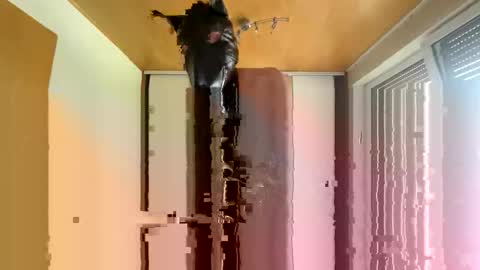 Snapshot of playdog123 chatting on October 2025 01:21:01 PM playdog123 online show from October 2025 01:21:01 PM