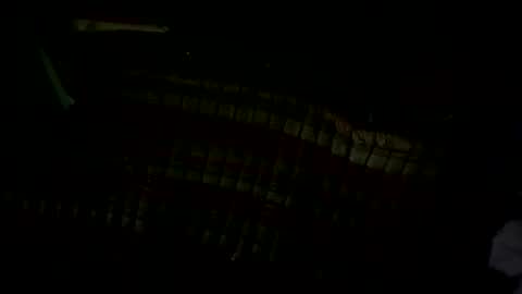 pleaseownme2 online show from September 2025 01:11:02 PM