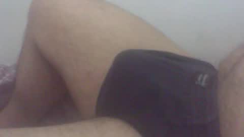 pol2023 online show from November 2025 03:06:01 AM