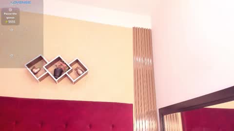 Snapshot of poletlambert chatting on January 2025 07:38:02 PM Polet online show from January 2025 07:38:02 PM