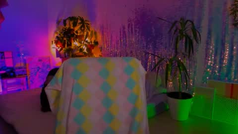 Martha online show from February 2026 03:49:02 PM