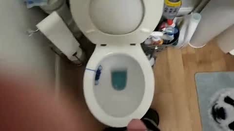 polishx42 online show from February 2026 03:55:01 PM