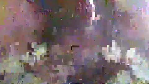 Snapshot of pollexxx66 chatting on January 2025 01:59:02 PM Paul online show from January 2025 01:59:02 PM