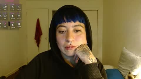 Poly online show from February 2026 01:46:02 AM