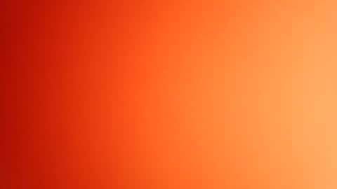 pop297248 online show from May 2026 02:12:02 PM