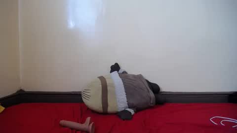 Snapshot of popetykely00 chatting on February 2025 08:38:01 AM popetykely00 online show from February 2025 08:38:01 AM