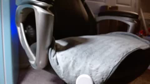 poppyntx online show from May 2026 03:00:01 AM