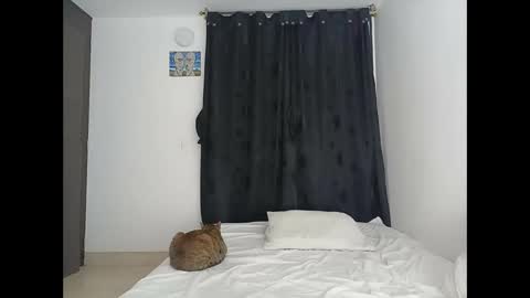 Snapshot of porcelainlux chatting on March 2026 01:22:01 AM porcelainlux online show from March 2026 01:22:01 AM