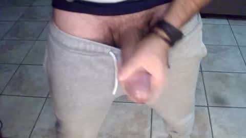 porcellobolognese online show from November 2025 01:49:01 AM