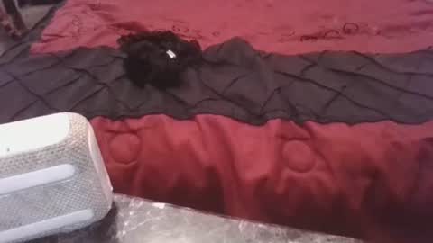 prettyp7729206 online show from November 2025 09:27:02 PM