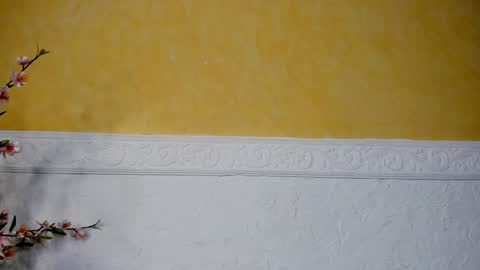 Laura  Onlyfans   40OFF online show from February 2025 09:03:01 AM