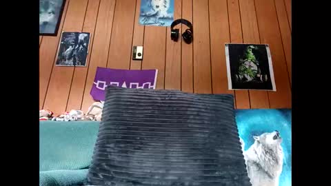 Snapshot of prettysolid7 chatting on October 2025 01:11:01 PM prettysolid7 online show from October 2025 01:11:01 PM