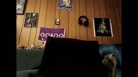 Snapshot of prettysolid7 chatting on October 2025 07:19:01 AM prettysolid7 online show from October 2025 07:19:01 AM