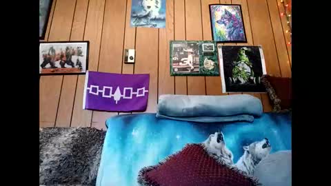 Snapshot of prettysolid7 chatting on March 2026 04:31:01 PM prettysolid7 online show from March 2026 04:31:01 PM