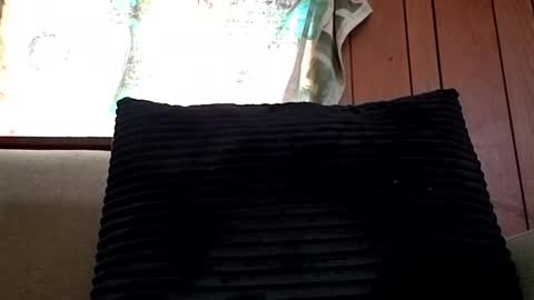 prettysolidd7 online show from February 2025 12:54:01 PM