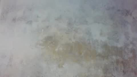Prince edi online show from May 2026 02:45:02 PM
