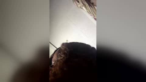 princessaxs online show from April 2026 08:28:02 PM