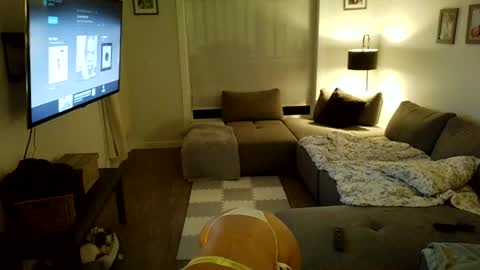 jasminexoxo online show from July 2026 06:30:02 AM