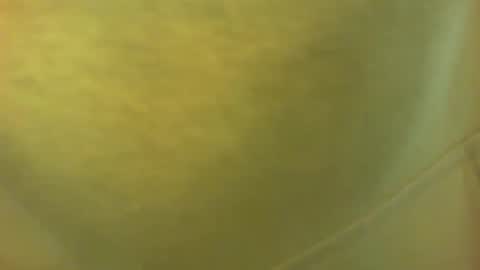 Snapshot of princetonbar55 chatting on February 2025 07:06:02 PM princetonbar55 online show from February 2025 07:06:02 PM