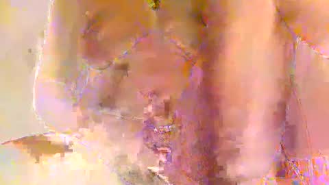 Priscilla online show from February 2026 04:34:02 AM