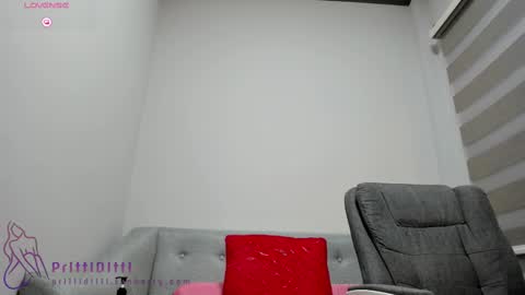Snapshot of prittiditti chatting on February 2025 10:14:02 PM PrittiDitti online show from February 2025 10:14:02 PM