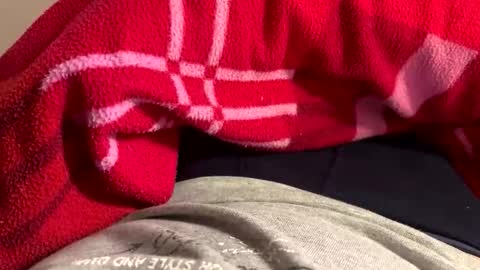 privat2025 online show from February 2026 08:29:02 PM