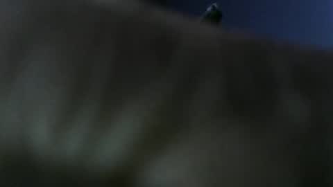 privatefuckit online show from January 2026 09:51:01 PM