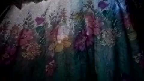 prvive2025 online show from October 2025 07:34:01 PM