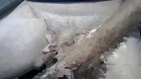 Snapshot of psfunman chatting on February 2025 06:05:01 PM psfunman online show from February 2025 06:05:01 PM