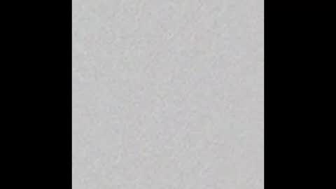 Snapshot of psychoted chatting on November 2025 11:19:01 AM Basti or Baaaaasti online show from November 2025 11:19:01 AM