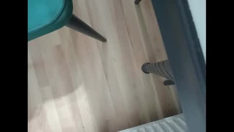 Snapshot of psyfbi chatting on December 2024 03:20:02 PM PALA online show from December 2024 03:20:02 PM