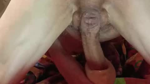 pulepower online show from February 2025 06:12:02 AM