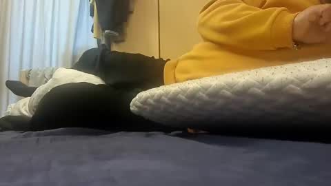 Pulp online show from January 2025 09:02:02 AM