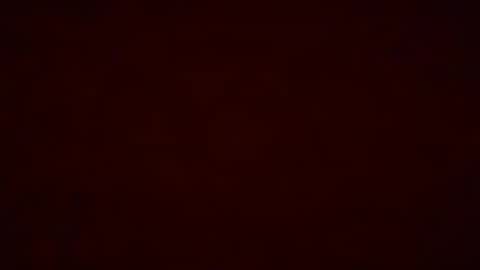 Pumpkin bunny online show from December 2025 12:28:02 AM