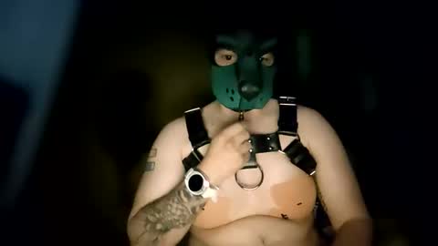 Snapshot of pup_kori chatting on June 2026 06:14:02 AM Pup Kori online show from June 2026 06:14:02 AM