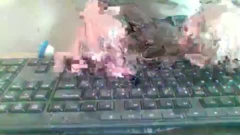 pup_y online show from January 2026 09:56:01 AM