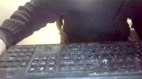 pup_y online show from January 2026 07:11:01 PM