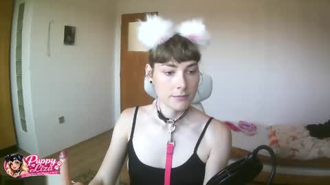 Snapshot of puppy_liza chatting on June 2026 07:21:02 AM puppy_liza online show from June 2026 07:21:02 AM