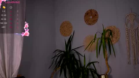 Emily online show from March 2026 04:04:02 AM