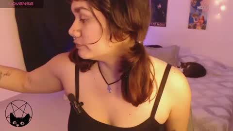 Snapshot of pussycat420_ chatting on June 2026 02:05:01 AM Mari online show from June 2026 02:05:01 AM