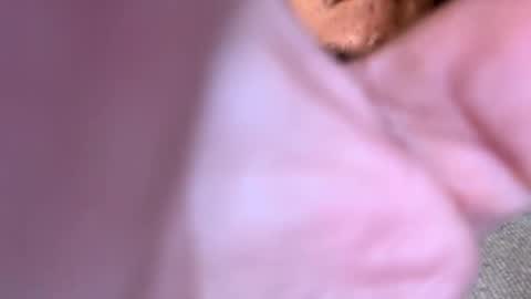 pussyeats1993 online show from February 2025 09:42:01 PM