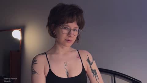    online show from November 2025 03:23:02 PM