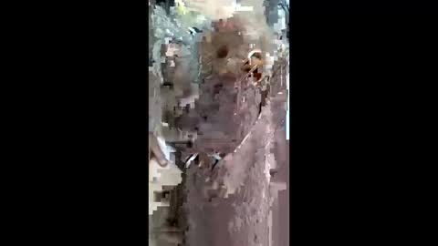 queen_2028 online show from March 2026 08:58:02 AM