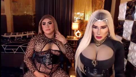 Snapshot of queen_horsecock chatting on May 2026 06:42:01 AM queen_horsecock online show from May 2026 06:42:01 AM