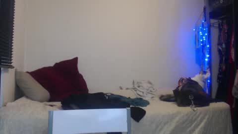 Nico online show from January 2025 12:52:02 AM