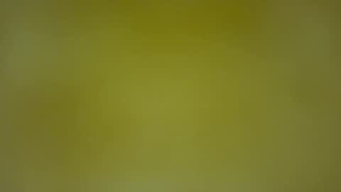 quinnxx online show from February 2026 05:33:02 AM