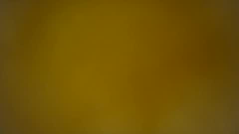 quinnxx online show from February 2026 07:51:01 AM